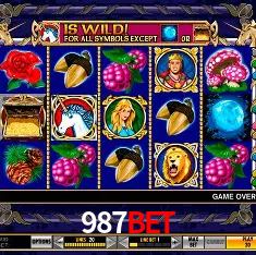 987Bet Rio de Janeiro - Bonus Terms